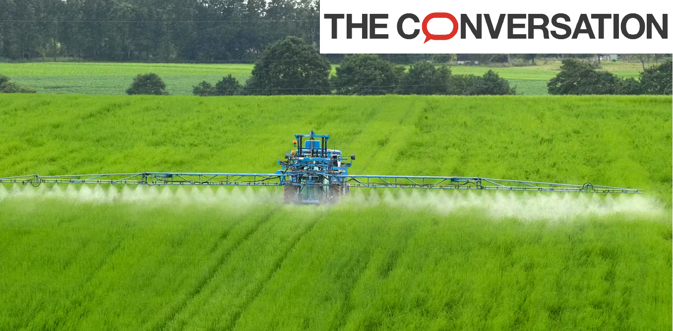 Crédits photo Dusan Petkovic/Shutterstock