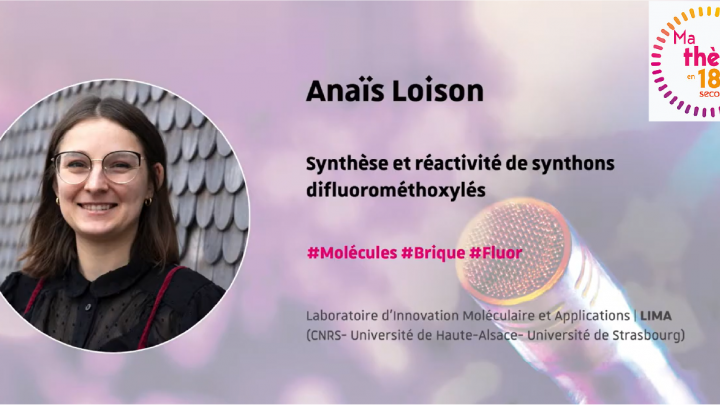 Image de présentation d'Anaïs Loison