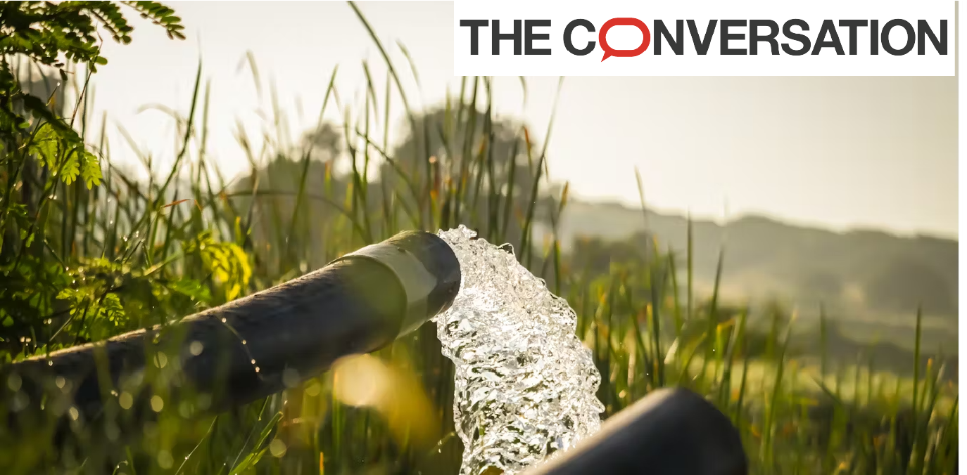 Crédits photo Shutterstock