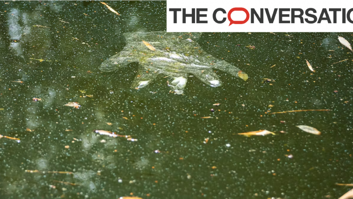 Un gant jetable en plastique flottant dans un lac, symbolisant l’empreinte des activités humaines sur la planète.