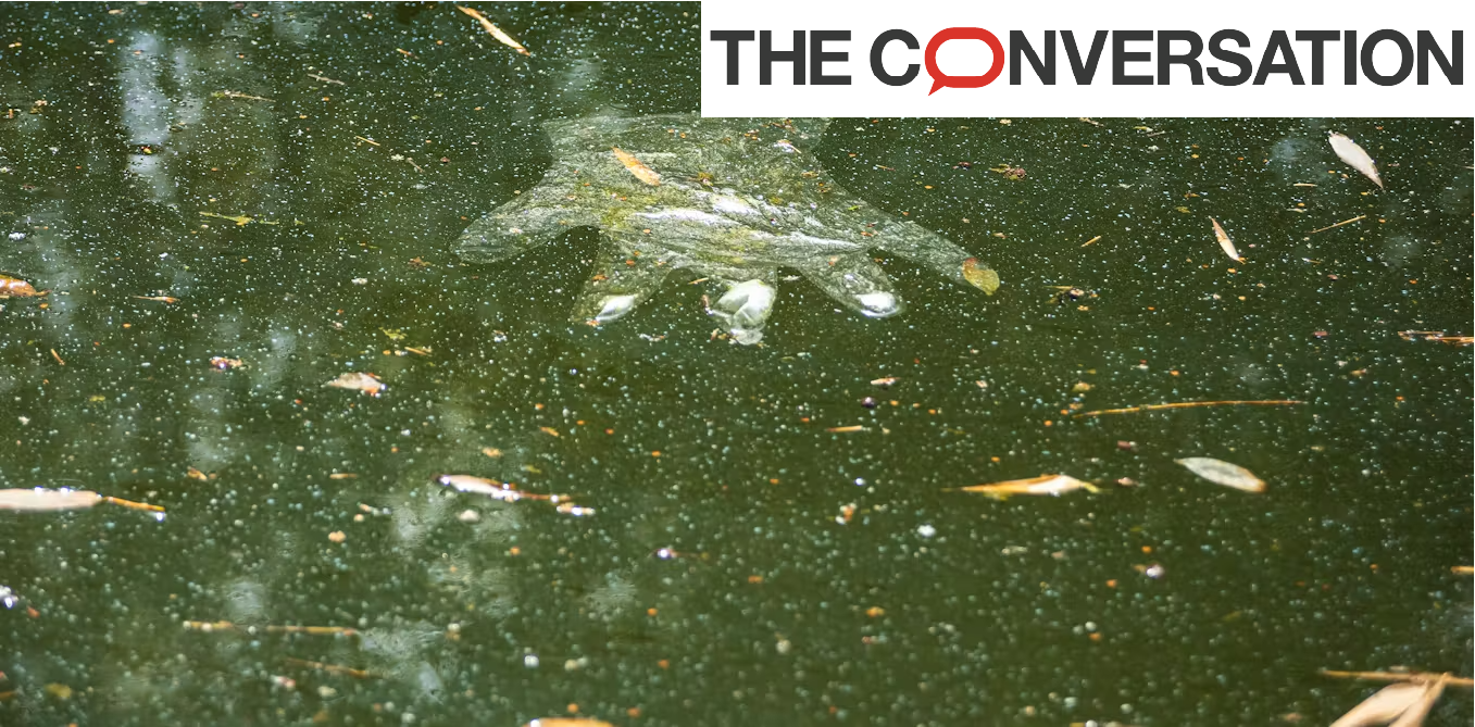 Crédits photo Jay-Dee Shutterstock