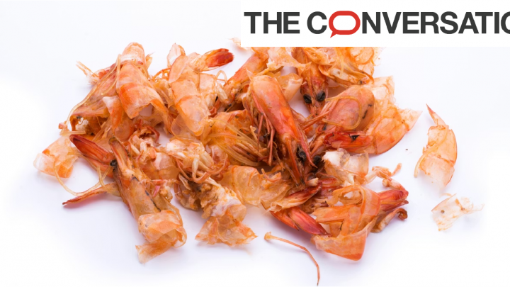 Carapaces de crevettes