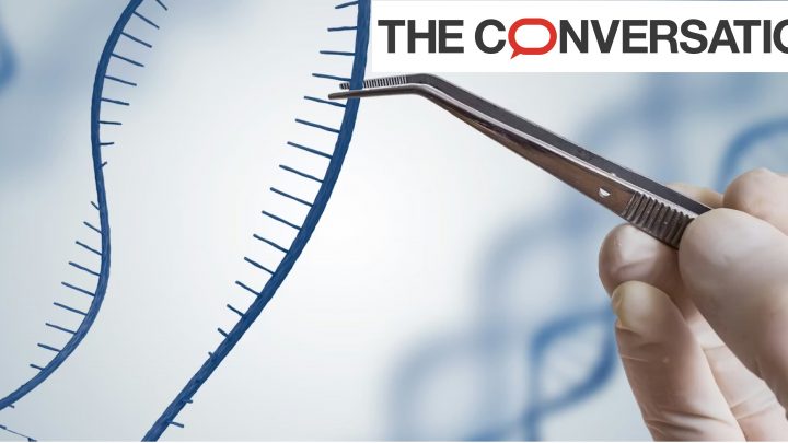 Génome en train d'être manipulé avec des pincettes par un scientifique