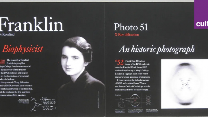 Rosalind Franklin et la photo 51, sur la façade du Franklin-Wilkins Building au King's College (Londres)
