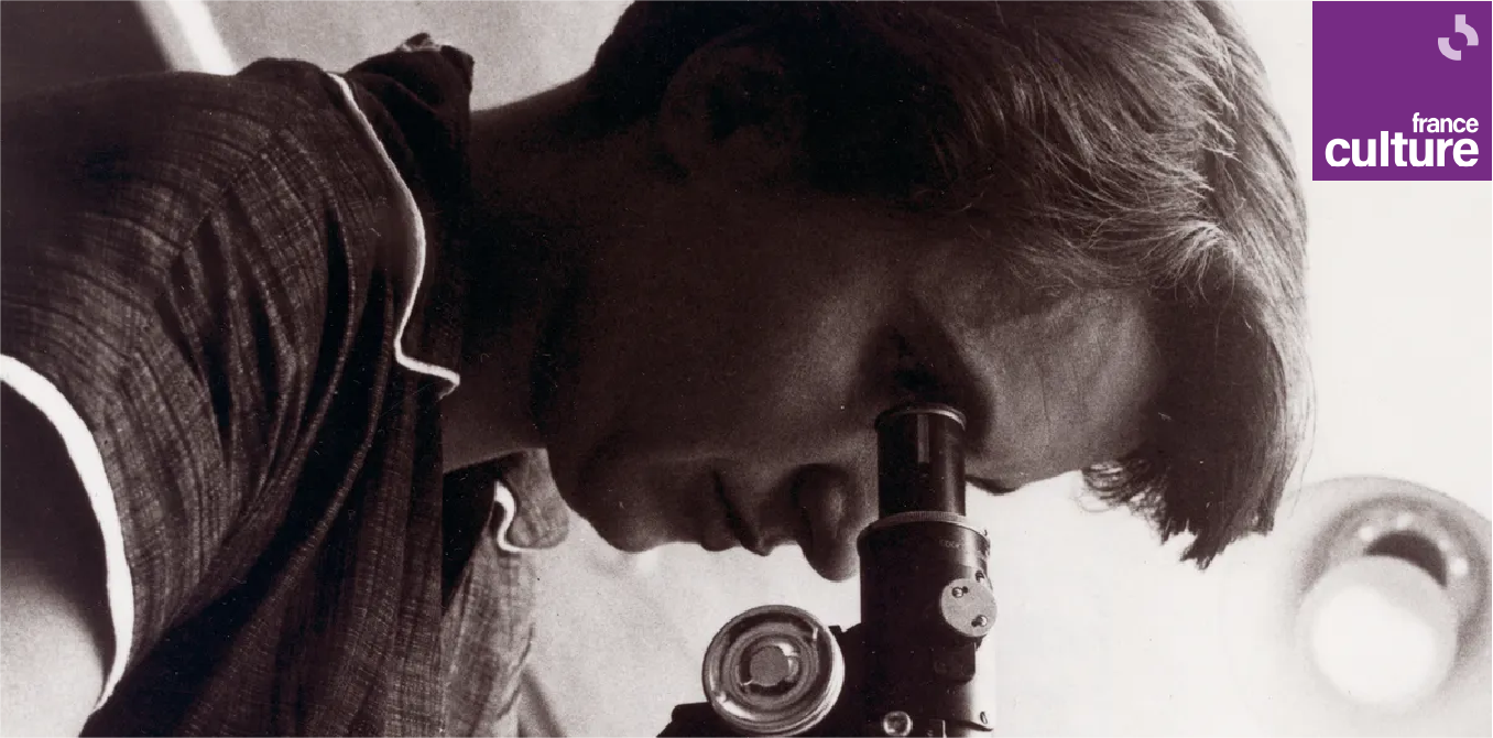 ©Getty - Universal History Archive